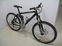 Rock Shox Lyrik und DT Swiss EX1750  - 1