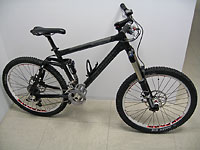 Rock Shox Lyrik und DT Swiss EX1750  - 3