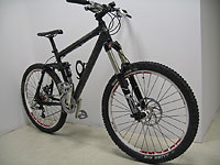 Rock Shox Lyrik und DT Swiss EX1750  - 4