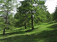 Meran 2000 und Kesselberg mit dem Mountainbike  - 4