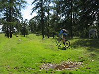 Mountainbike Tour Meran 2000, Hafling, Stoanerne Mandln  - 17