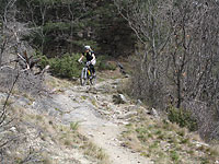 Mountainbike Tour St. Martin im Kofel - 15